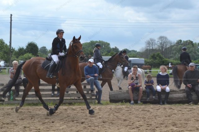 reitertag 2013 45
